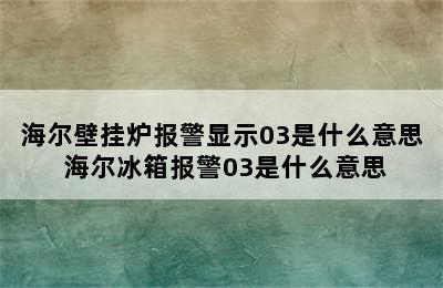 海尔壁挂炉报警显示03是什么意思 海尔冰箱报警03是什么意思